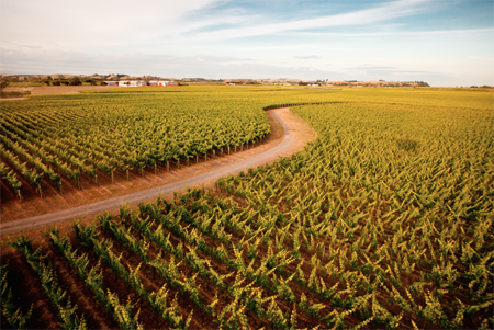 霍克斯灣應明確自己的形象定位