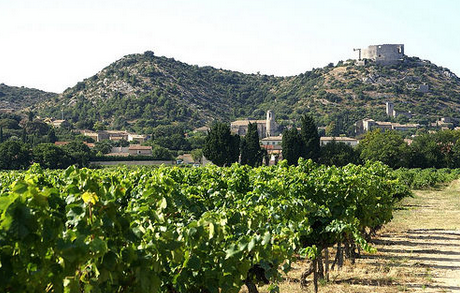 歐洲葡萄酒產區