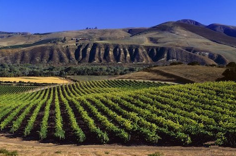 美國AVA產區 美國AVA產區