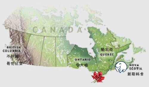 加拿大葡萄酒產區概述