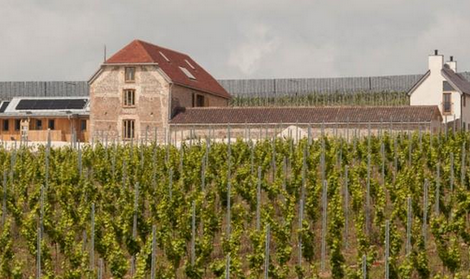 蘇塞克斯葡萄酒獲得原產地命名保護