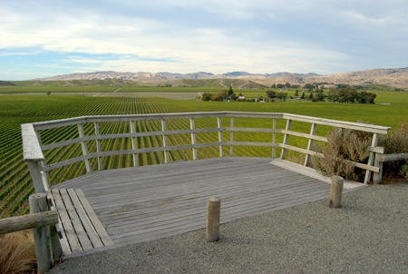 新西蘭長相思葡萄酒產區