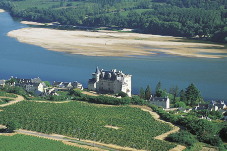 法國長相思葡萄酒產區