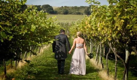 西薩塞克斯葡萄莊園開(kāi)放舉辦婚禮