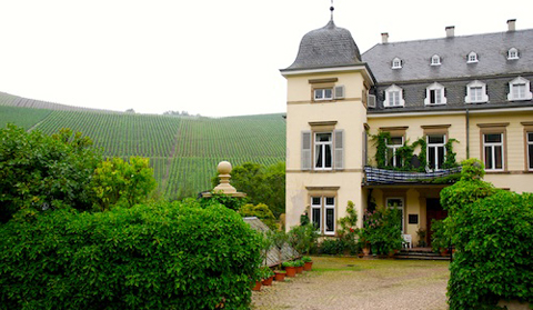 伊慕酒莊（Weingut Egon Muller – Scharzhof）