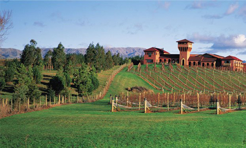 新西蘭葡萄酒莊將中國作為主要出口市場