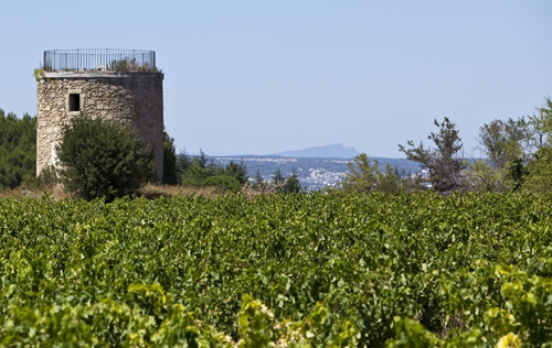 尼姆產區（Nimes）