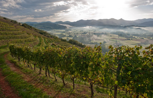 西南產區（South West France）