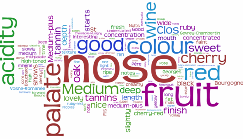 最容易被誤解的葡萄酒術語