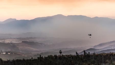 南非西開普葡萄酒產區(qū)受火災威脅