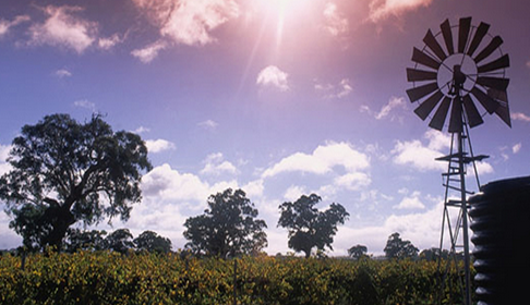 Wynns將舉辦澳洲最大赤霞珠品鑒會