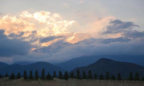 阿根廷葡萄酒出口進入“穩定增長時期”