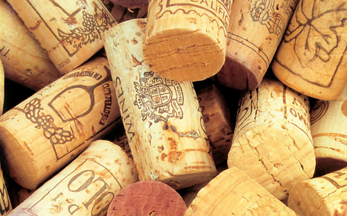 葡萄酒木塞常見誤區