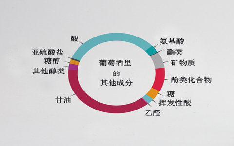 葡萄酒里的成分有哪些？