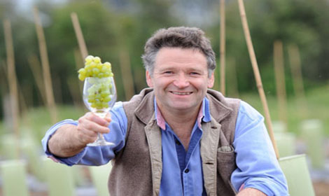 蘇格蘭首個年份葡萄酒“不盡人意”