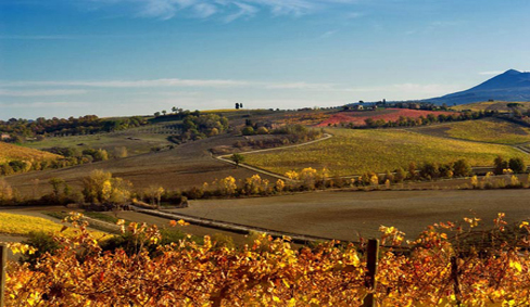 智利釀酒師召開土壤與葡萄酒關系研討會