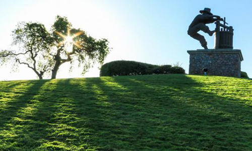 2015年納帕谷葡萄產量顯著減少