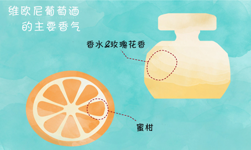 比較霞多麗和維歐尼葡萄酒