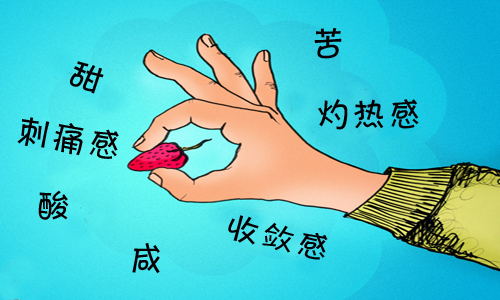 品酒詞匯解讀：味道、香氣和風味