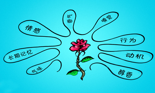 品酒詞匯解讀：味道、香氣和風味