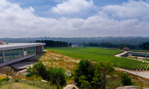 5個具有潛力的低價位葡萄酒產區