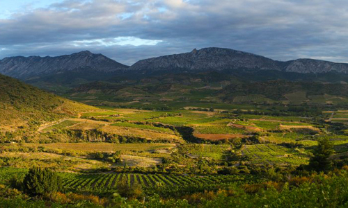 5個具有潛力的低價位葡萄酒產區