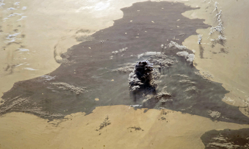 5個具有潛力的低價位葡萄酒產區