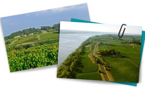 布爾丘（Cotes de Bourg）