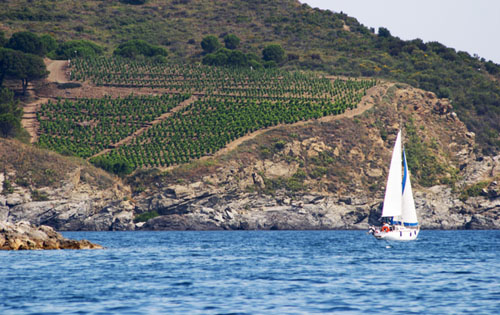 撒丁島（Sardinia）