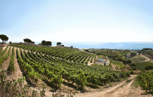 阿雷亞產區（Alella）