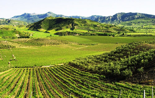 卡拉布里亞產區（Calabria）