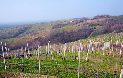 格美產區（Ghemme DOCG）