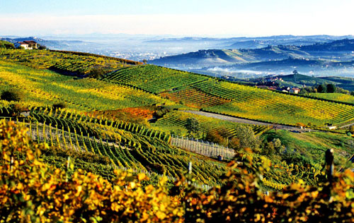 帕索羅布爾斯（Paso Robles）