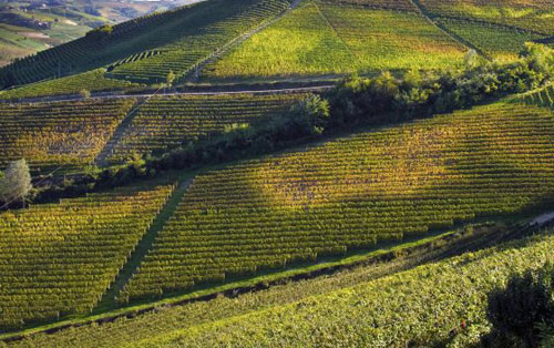 7月末兩場冰雹襲擊意大利皮埃蒙特產區