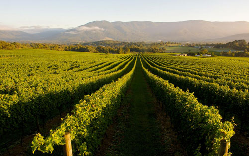 西澳州產區（Western Australia）