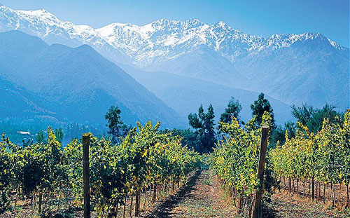 智利葡萄酒產區