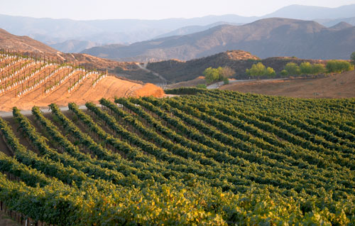 圣地亞哥產(chǎn)區(qū)（San Diego）