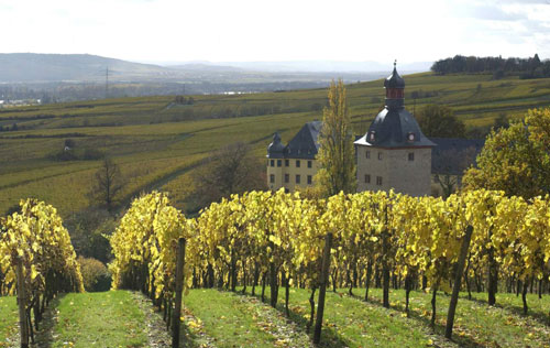 萊茵高產區（Rheingau）