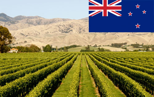 新西蘭葡萄酒產(chǎn)區(qū)