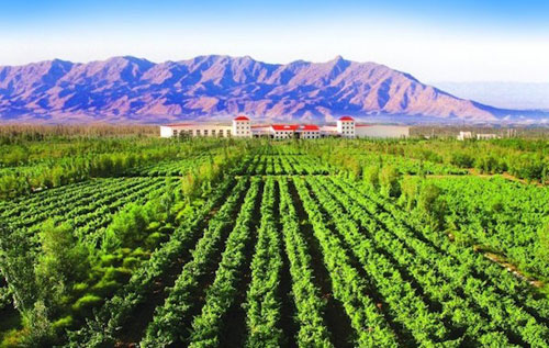 中國葡萄酒產區