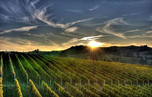 貝爾熱拉克（Bergerac）葡萄酒產區