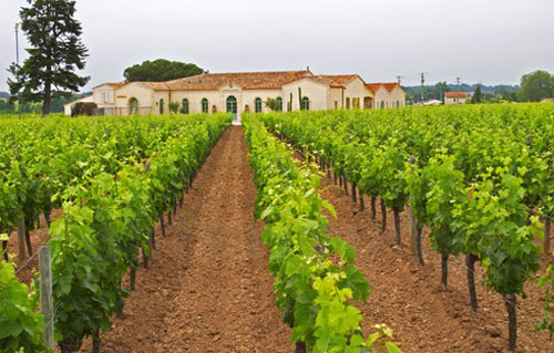 梅多克與圣埃美隆酒莊分級(jí)制度