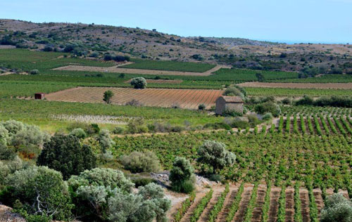 地中海產區（Mediterranee）