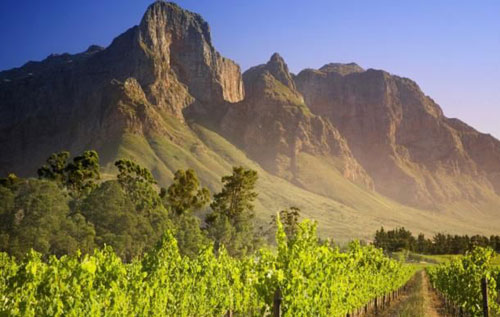 沃克灣產(chǎn)區(qū)（Walker Bay）