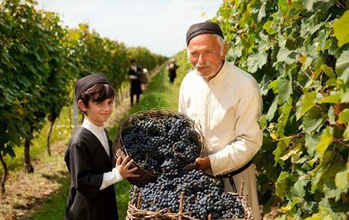 格魯吉亞（Georgia）葡萄酒產區