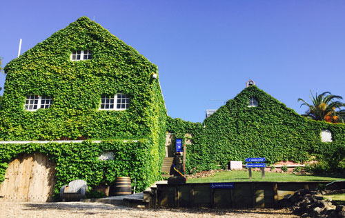 石脊酒莊（Stonyridge Vineyard）