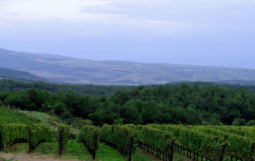 色雷斯（Thraki）葡萄酒產區