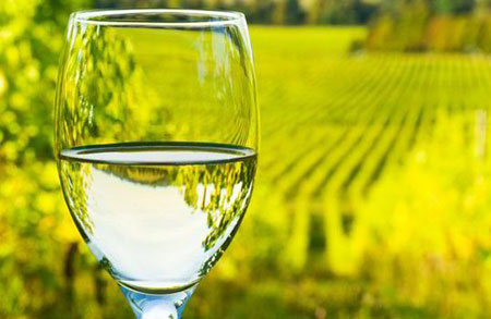 六大長相思葡萄酒產區