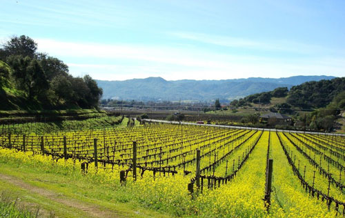 美國AVA法定葡萄酒產區(qū)制度