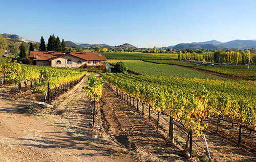 赫茲酒窖（Heitz Cellar）